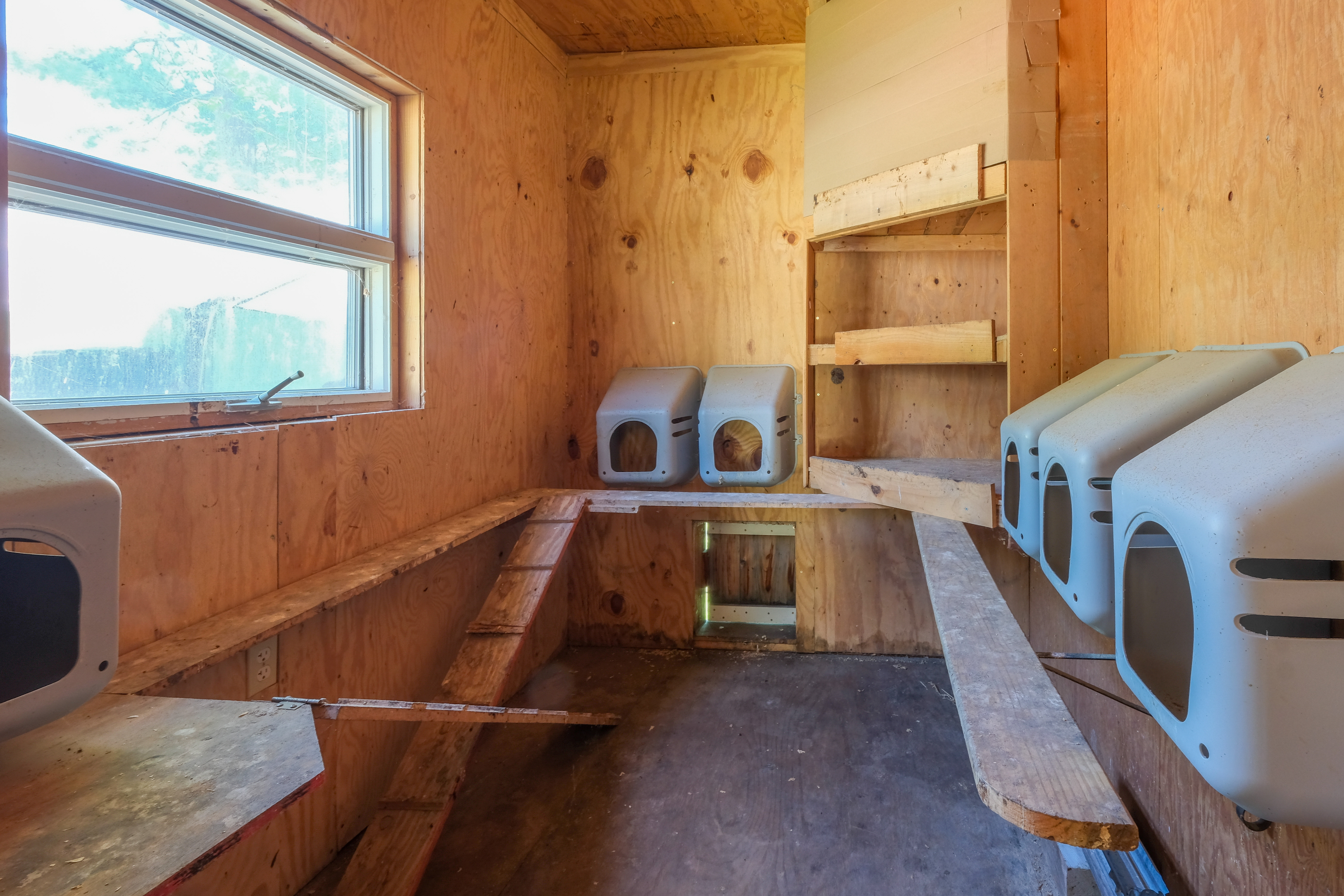 Property photo 63